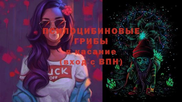 крисы Балахна