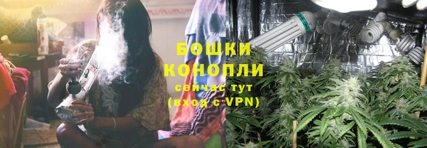 крисы Балахна