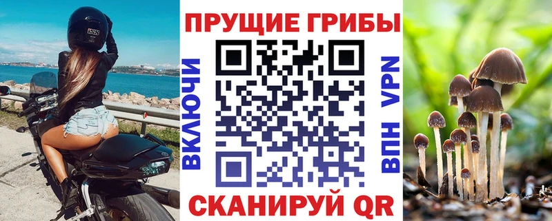 Псилоцибиновые грибы мицелий  Чистополь 